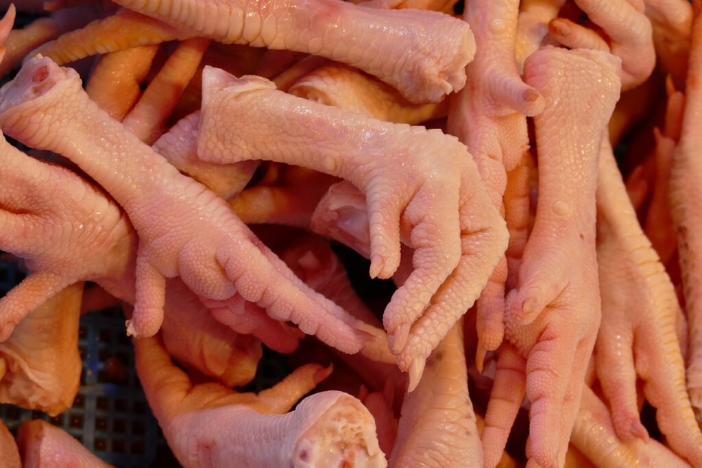 chicken feet