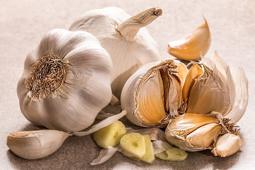 garlic deep processing industry