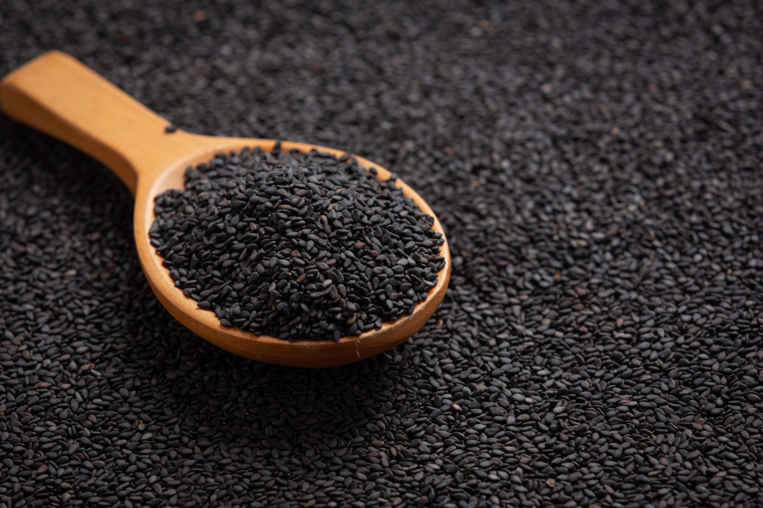 black sesame on dark background