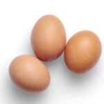 egg