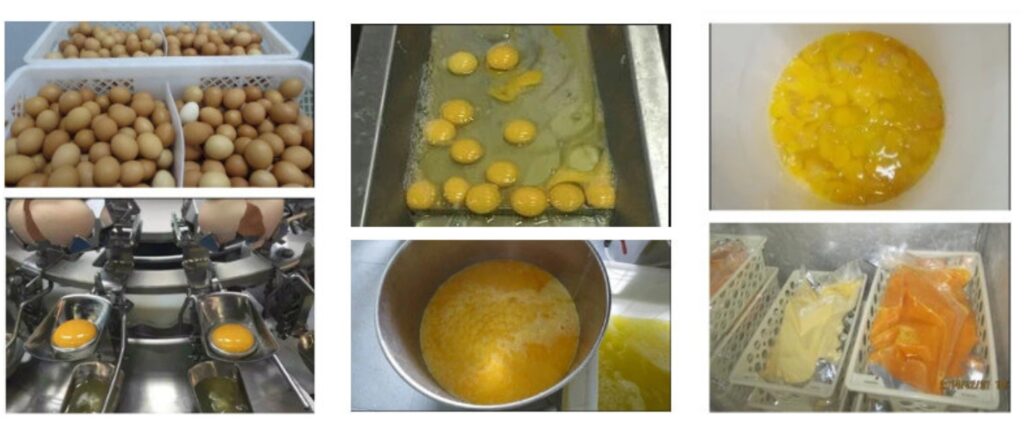 egg breaking machine process