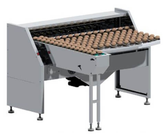 egg grading machine