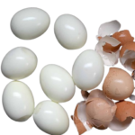 egg1256