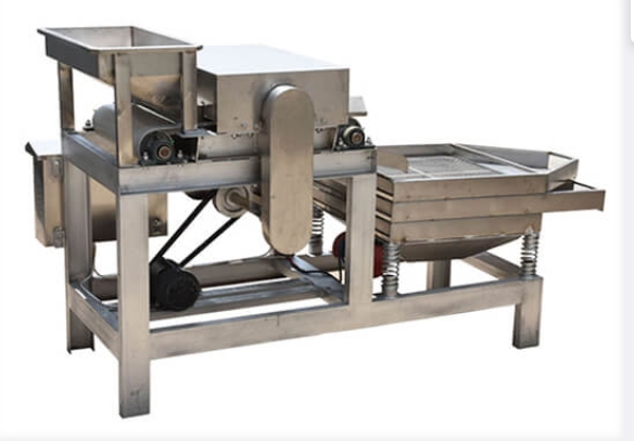 peanut & almond kernel chopping machine