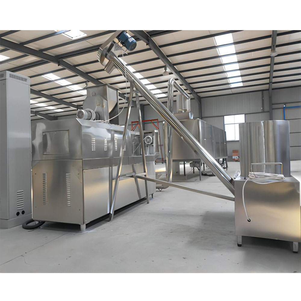 snack food processing plants